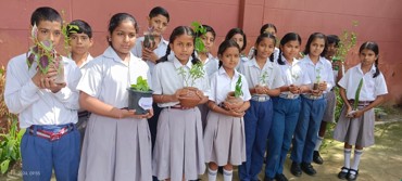 On World Environment Day